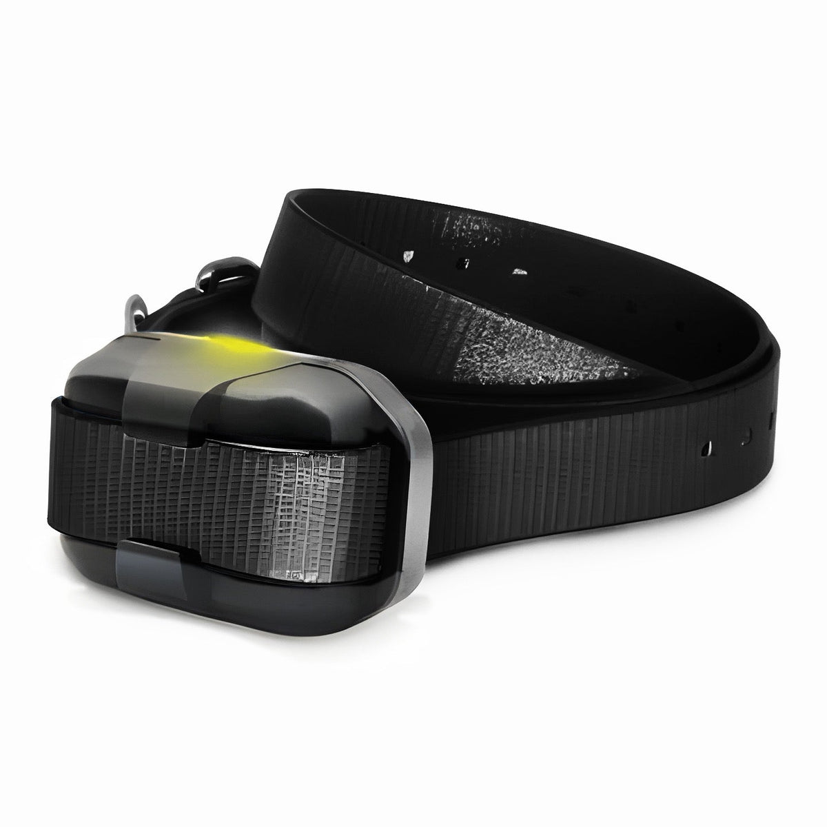 Dogtra 280X / 200iQ additional receiver
