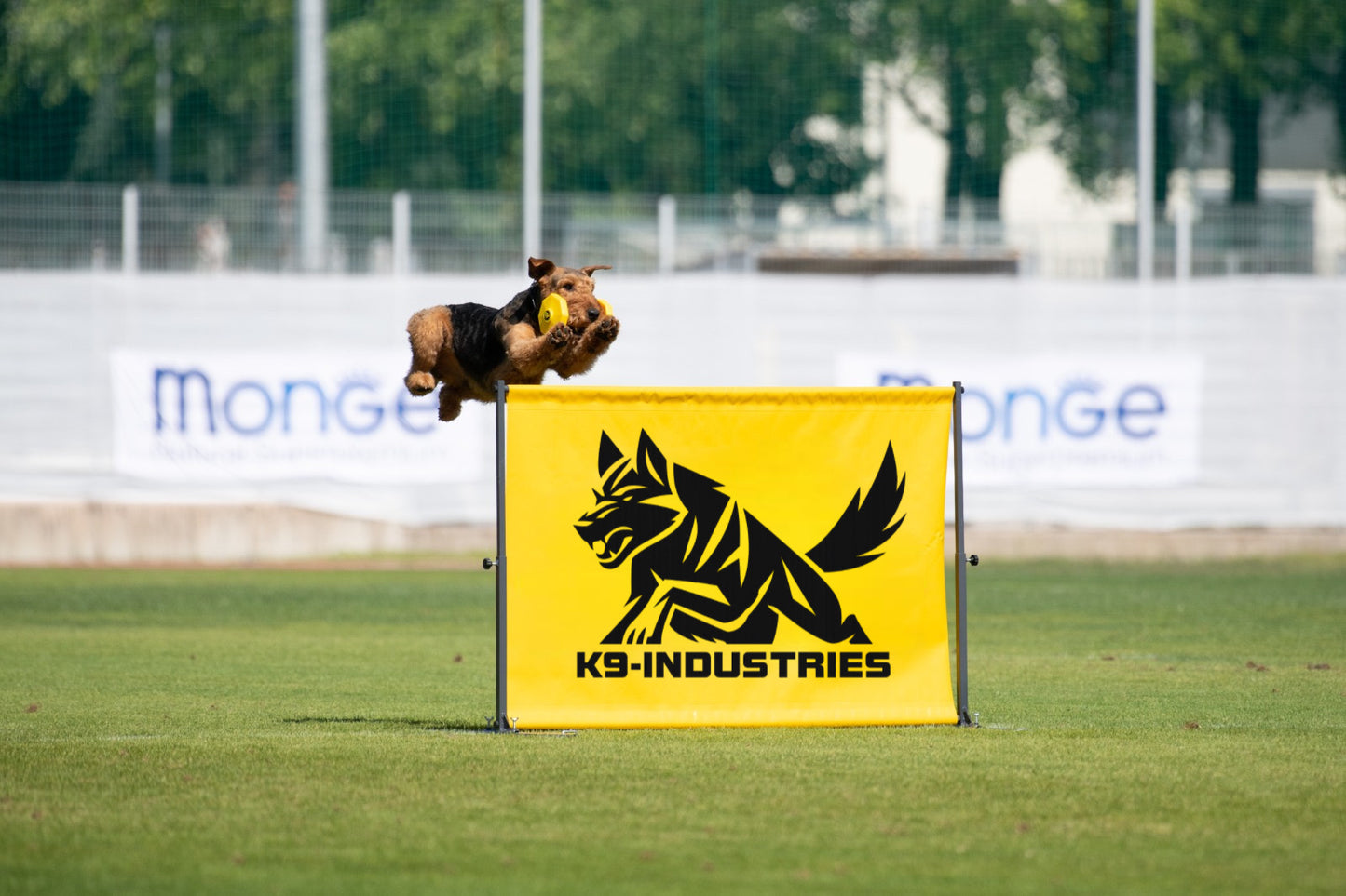 IGP Hurdle – Professional Portable Adjustable Dog Training Jump