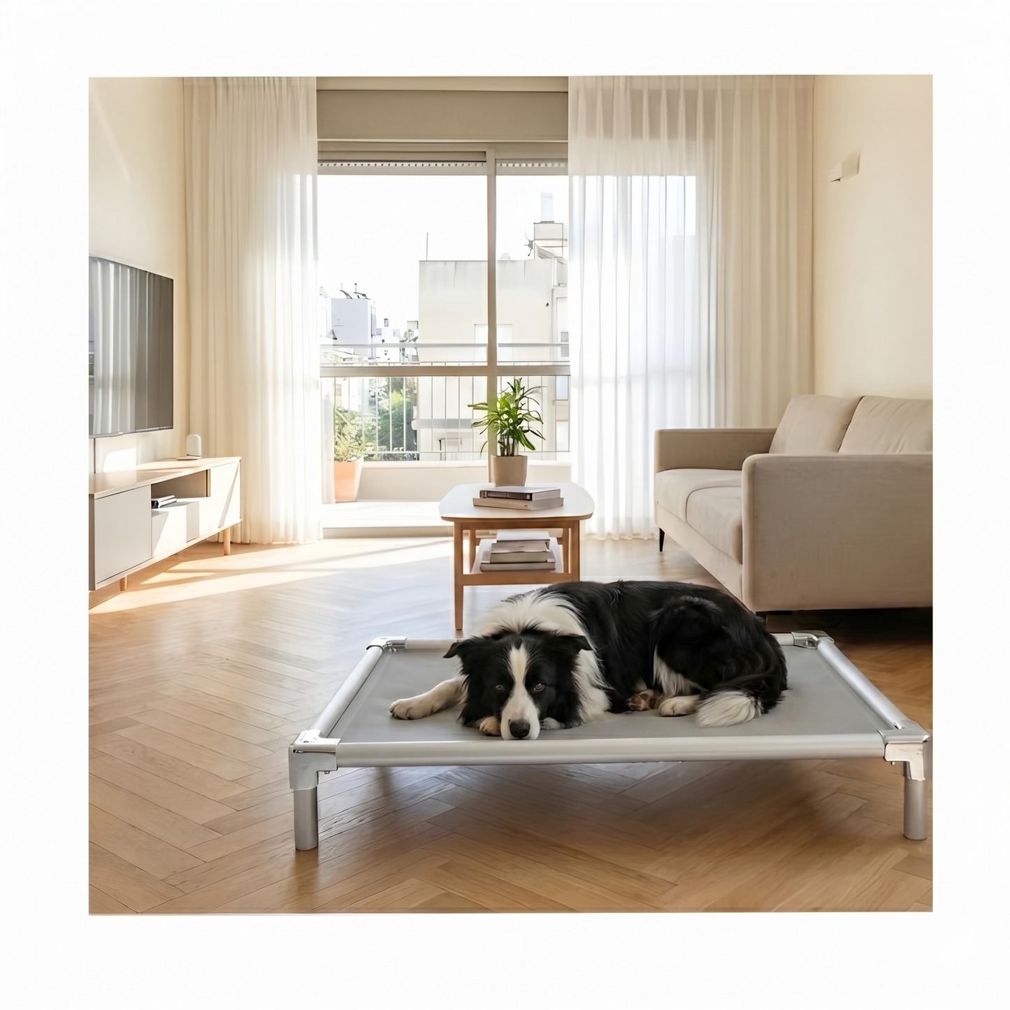 Chew-proof elevated dog bed