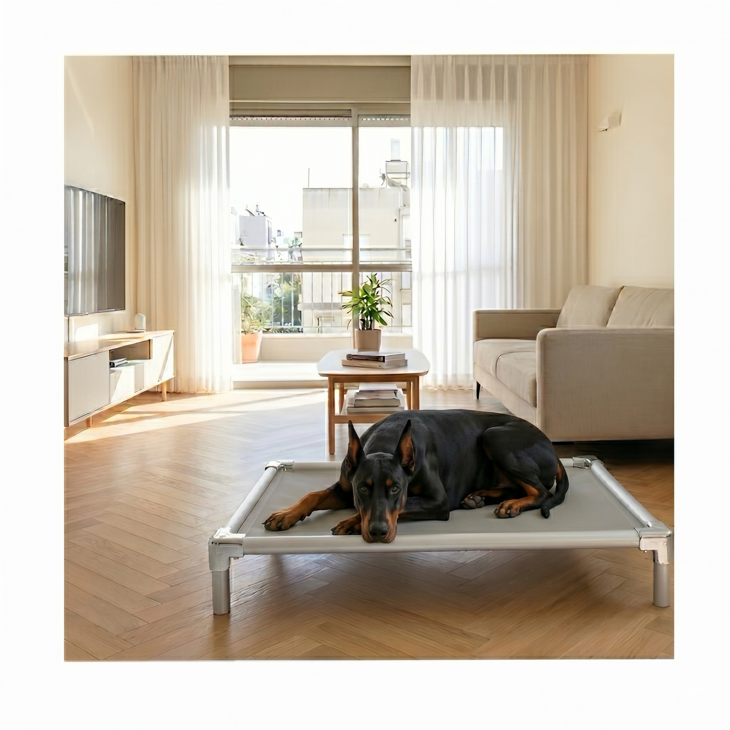 Chew-proof elevated dog bed