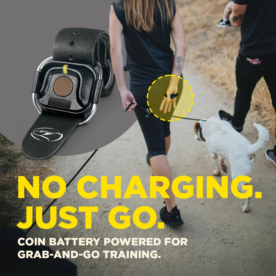Dogtra HANDSFREE Square with X-Series remote