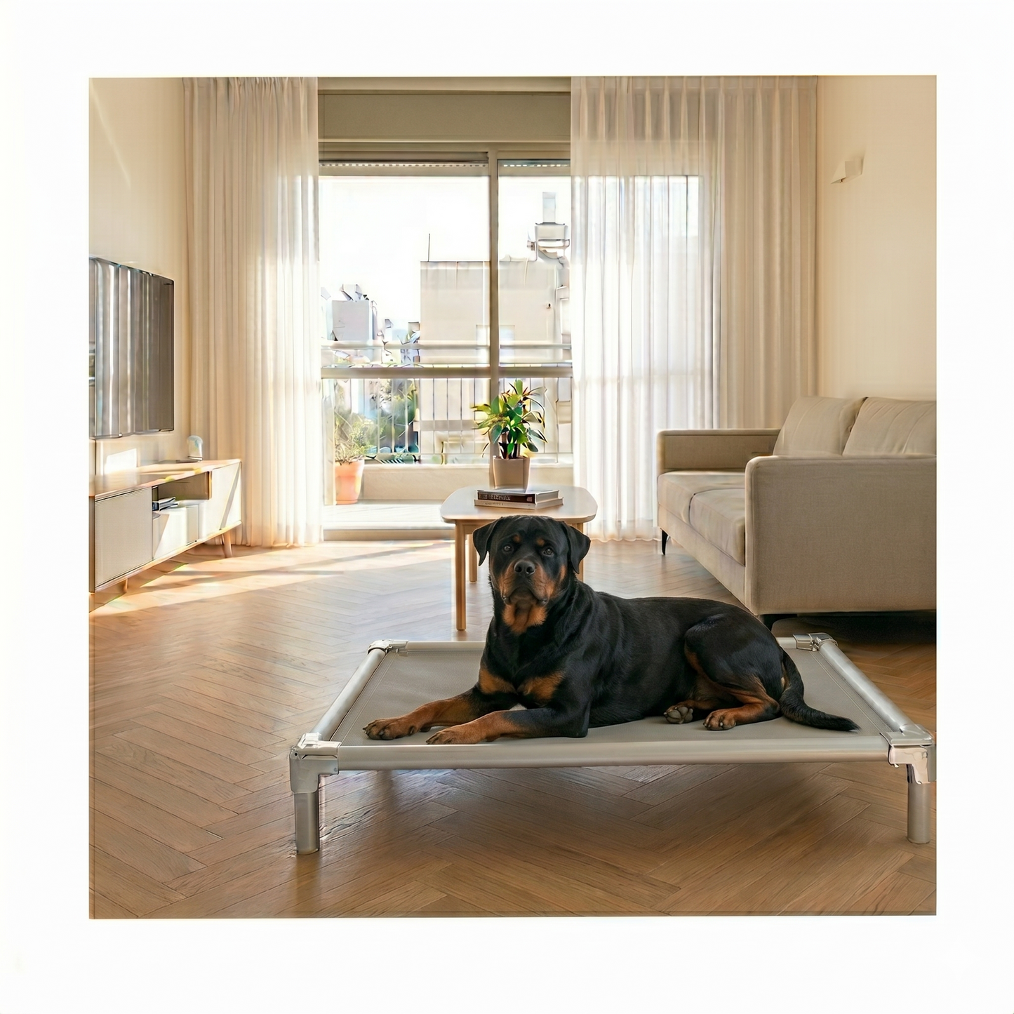 Chew-proof elevated dog bed for large breeds