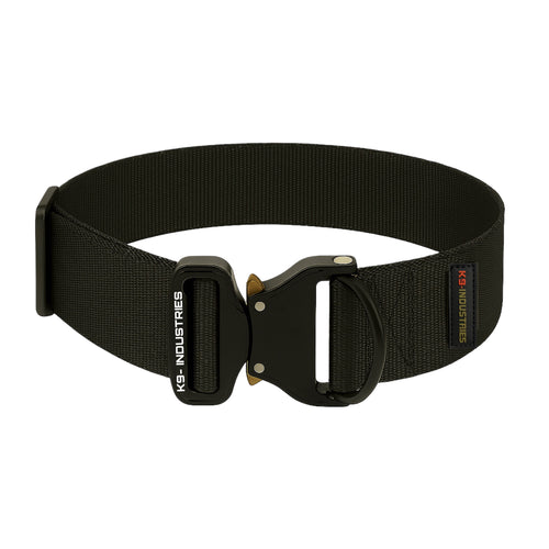 Heavy-Duty Nylon Dog Collar 50 mm (2 inches)