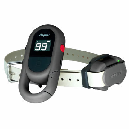 Dogtra CUE GEN2 iQ FLEX beginner-friendly training collar