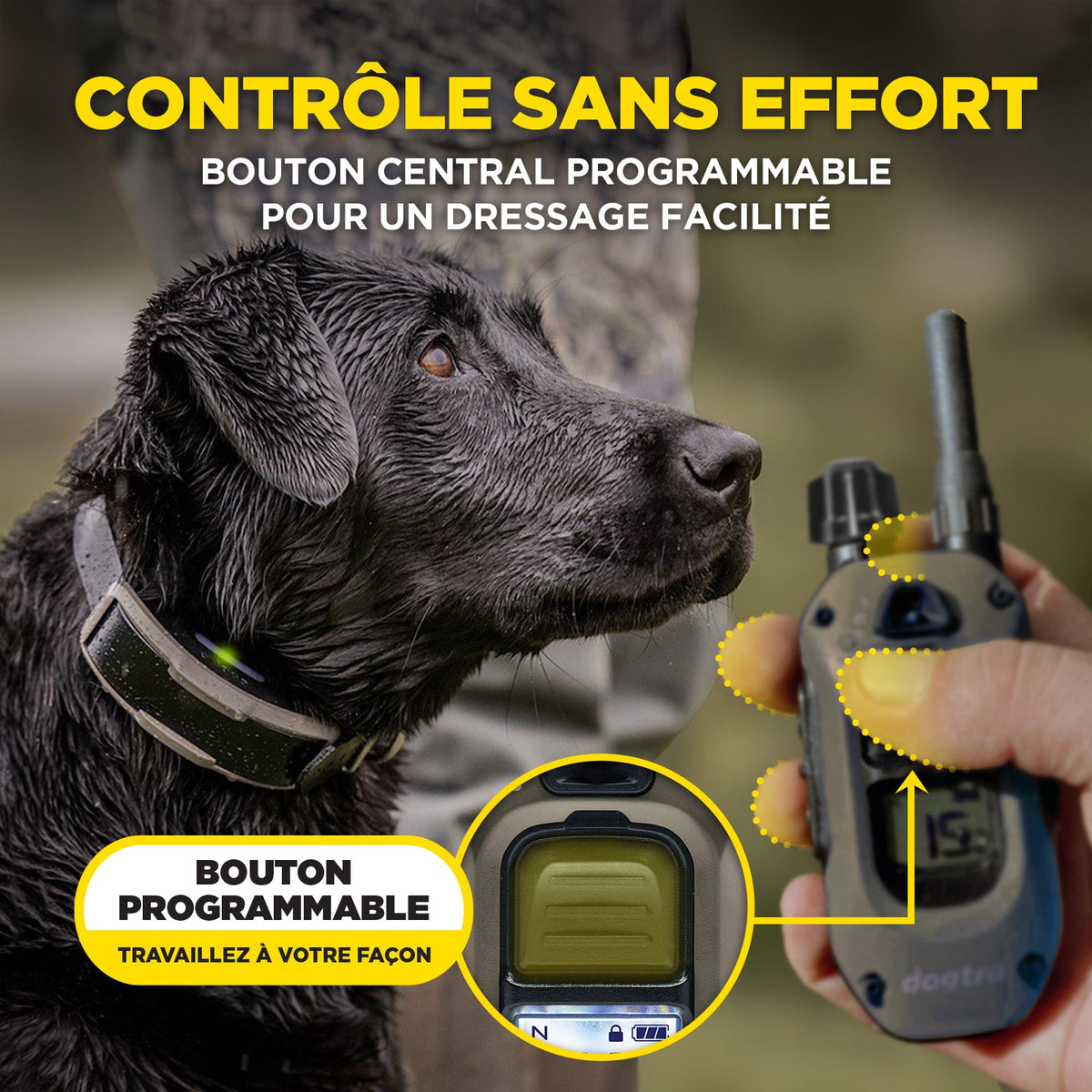 Dogtra 1902X one-hand control