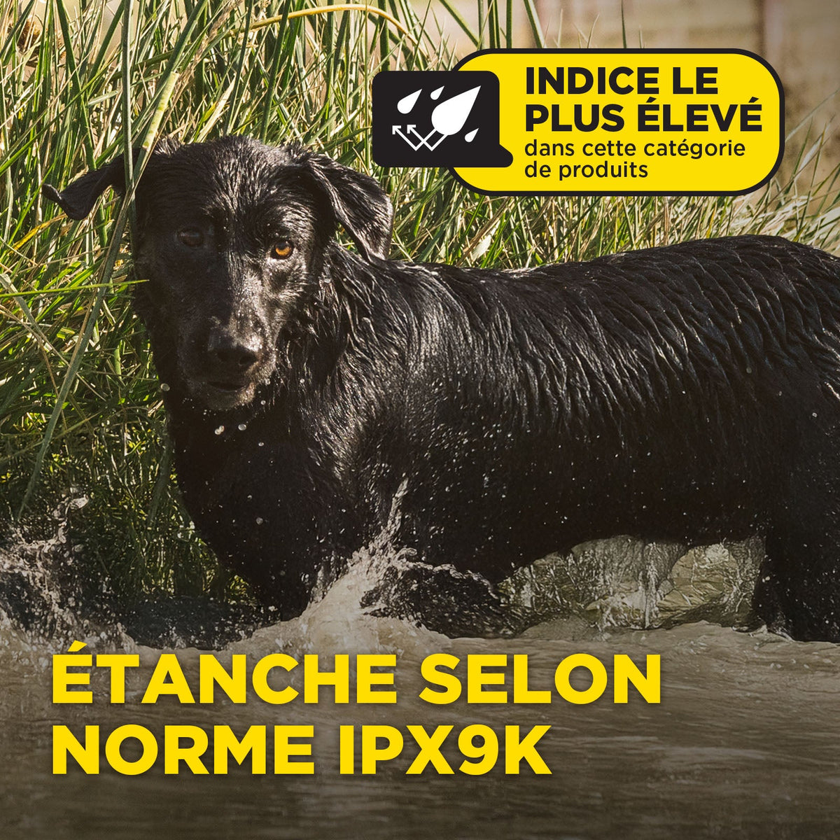 Dogtra 1902X IPX9K waterproof