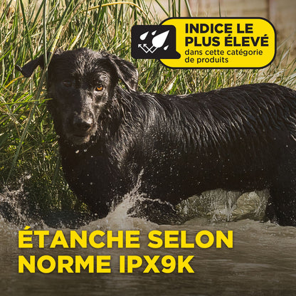 Dogtra 1902X IPX9K waterproof