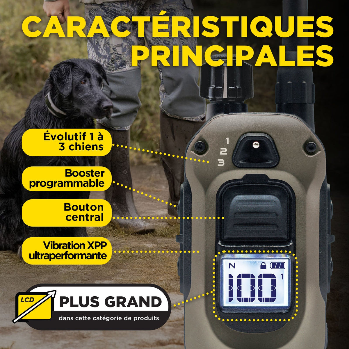 Dogtra 1900X training essentials