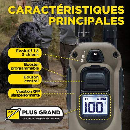 Dogtra 1900X training essentials