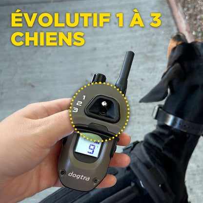 Dogtra 1902X expandable to 3 dogs