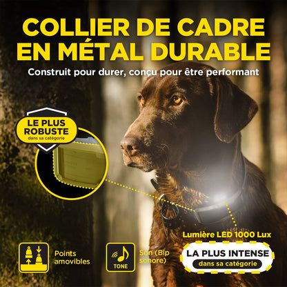 Dogtra 1900X metal e-collar case