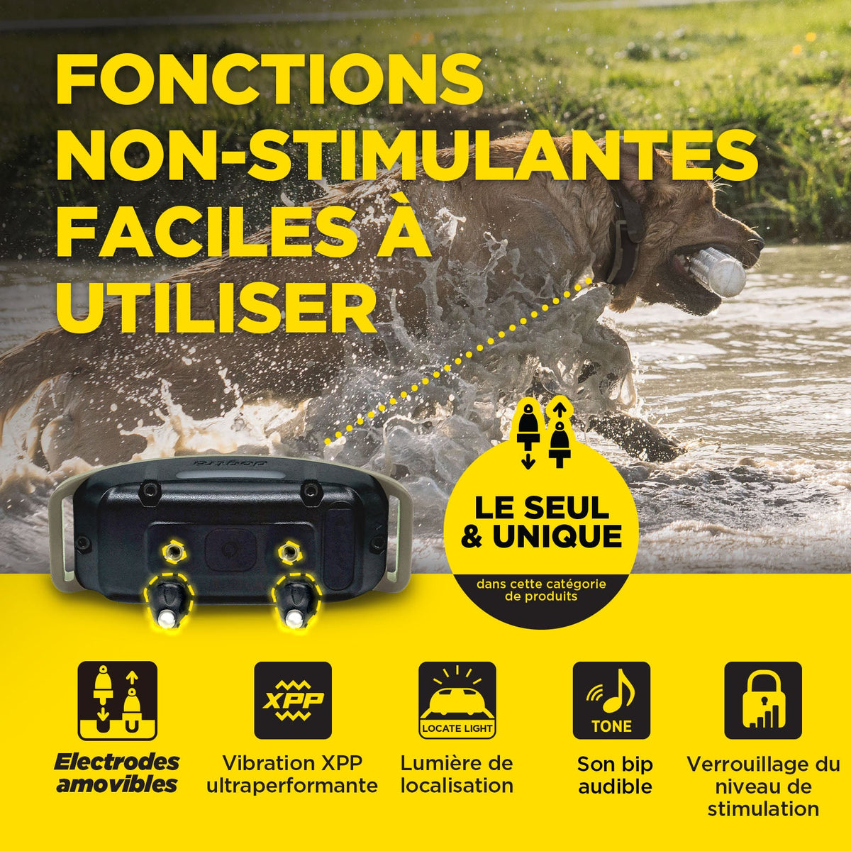Dogtra 1900X user-friendly non-stim functions