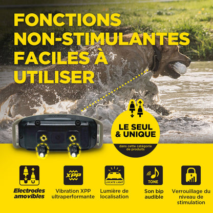 Dogtra 1900X user-friendly non-stim functions