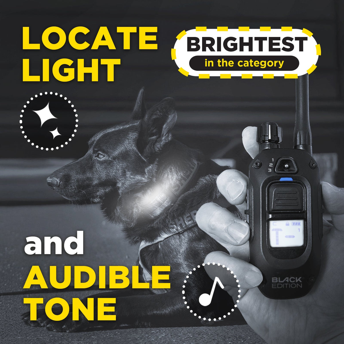 Dogtra 1900X Black Edition light and tone