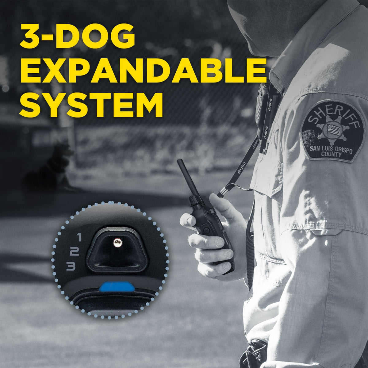Dogtra 1900X Black Edition expandable to 3 dogs