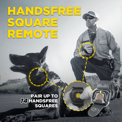 Dogtra 1900X Black Edition handsfree square