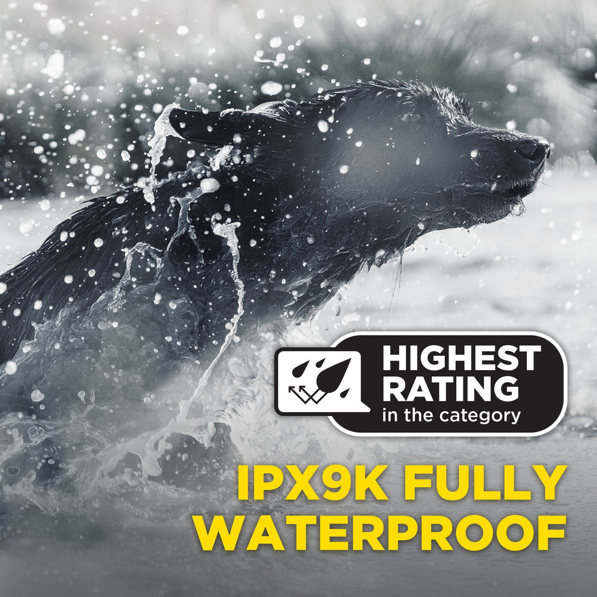Dogtra 1900X Black Edition IPX9K waterproof