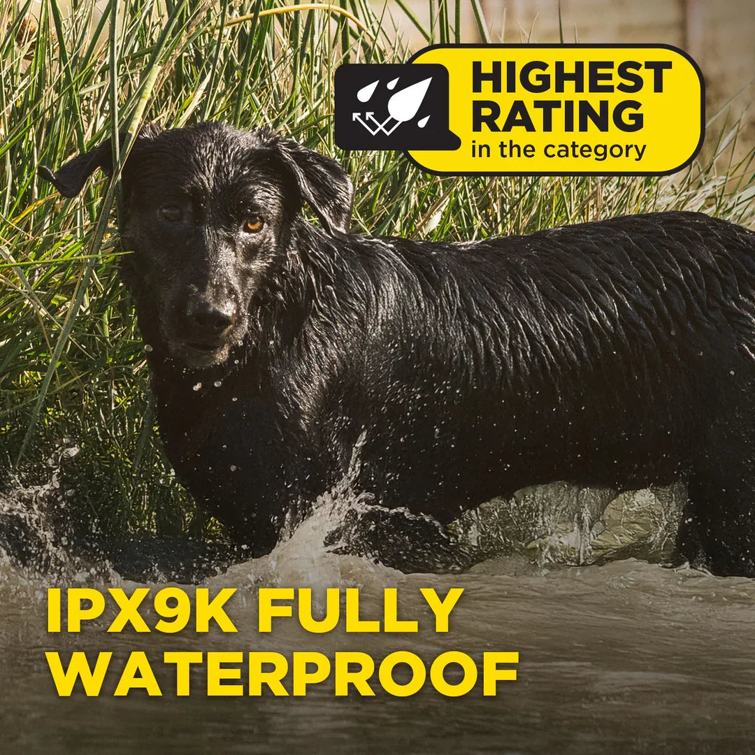Dogtra 1900X waterproof rating