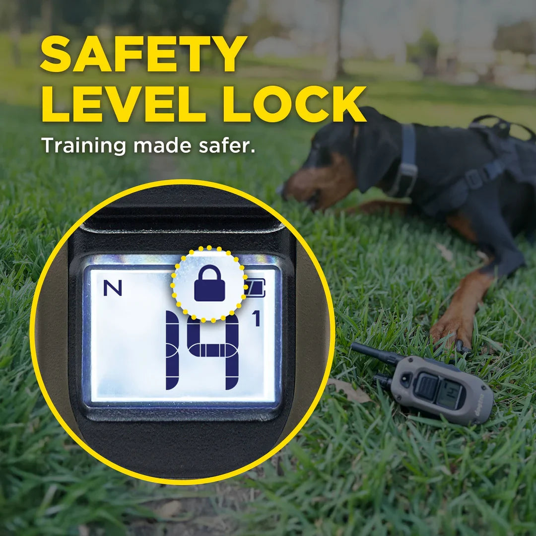Dogtra 1900X level lock safety