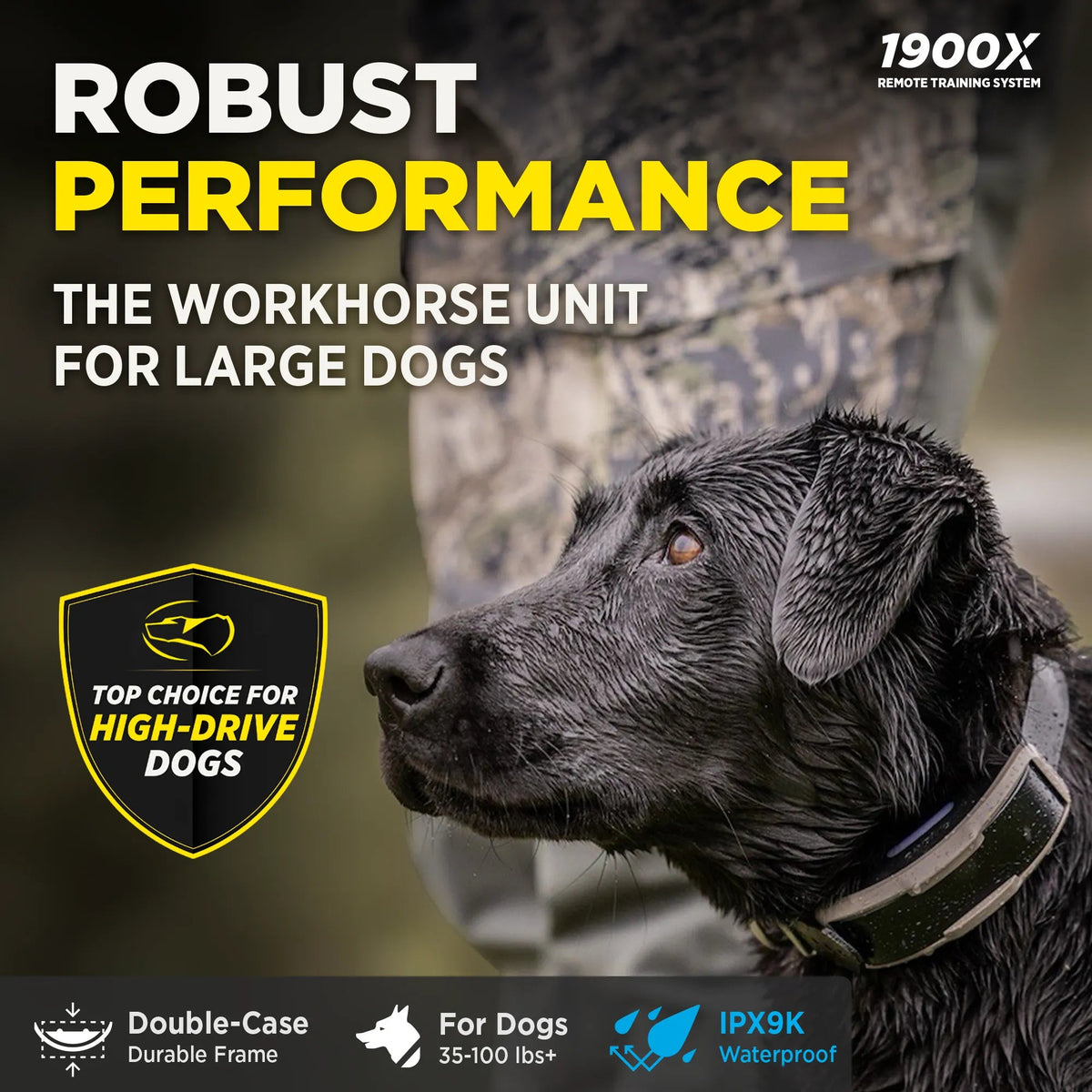 Dogtra 1900X overview: the workhorse unit for large dogs