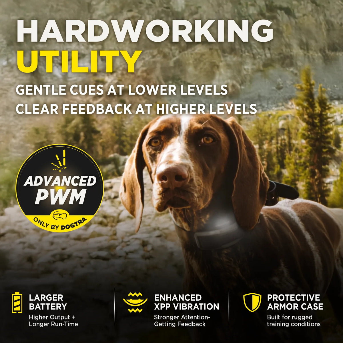 Dogtra 1900X hardworking utility and protective case