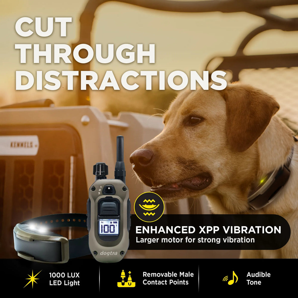 Dogtra 1900X enhanced XPP vibration