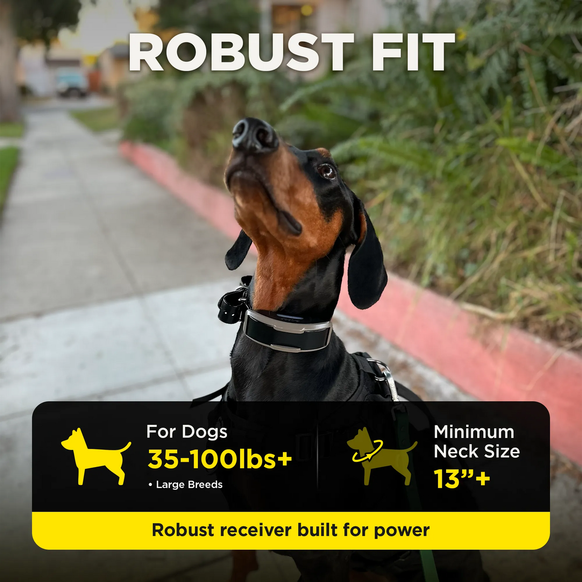 Dogtra 1900X robust fit for large dogs