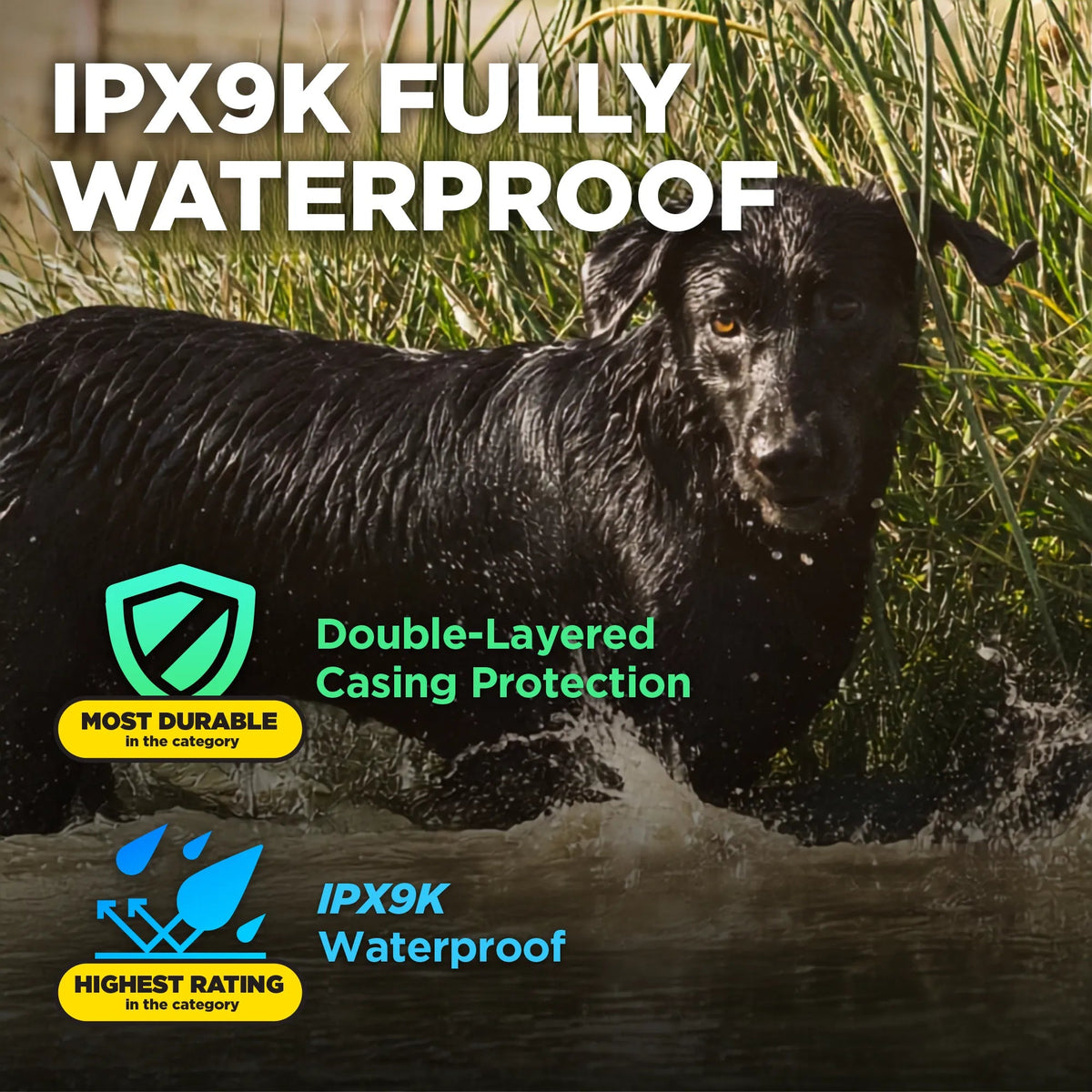 Dogtra 1900X IPX9K fully waterproof