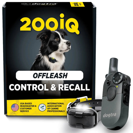 Dogtra 200iQ remote training collar with box