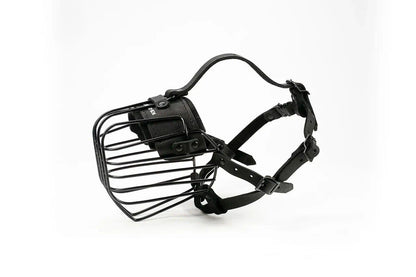 Border Collie metal muzzle detail view