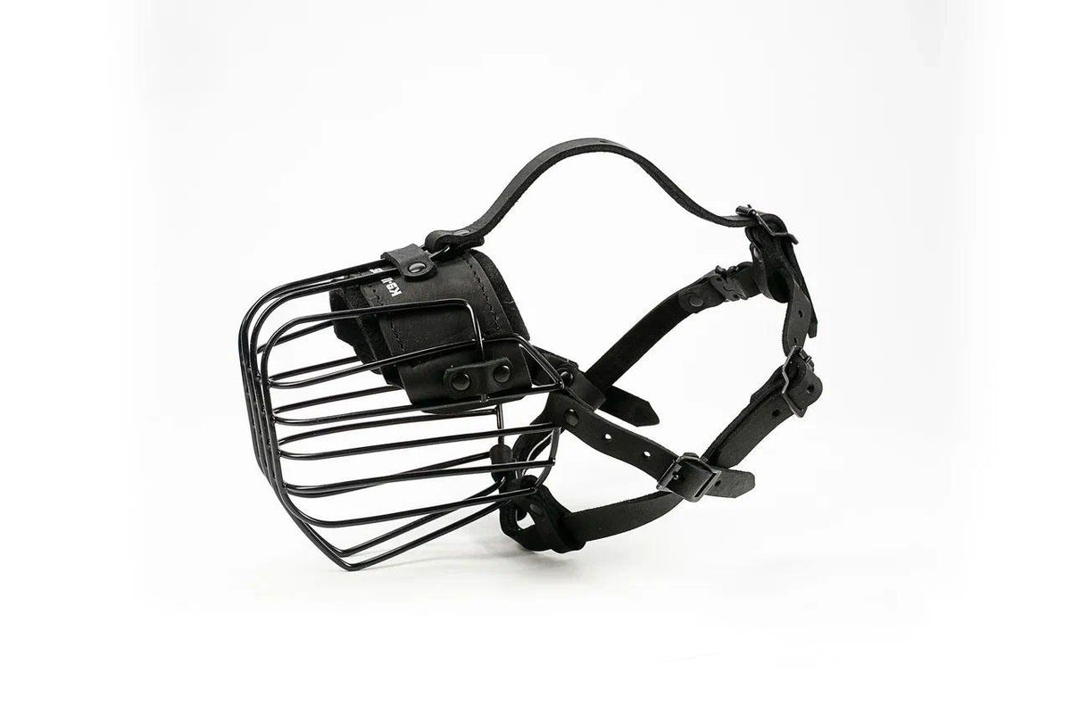 Detail of the 3D-bent frame on a metal wire dog muzzle