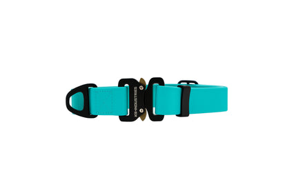 Turquoise 25mm everyday PowerFlex collar
