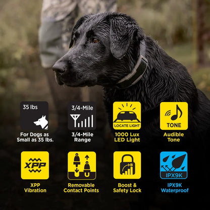 Dogtra 1902X training collar detail