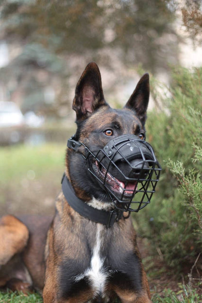 Everyday Tactical Dog Muzzle – Safe, Secure & Comfortable