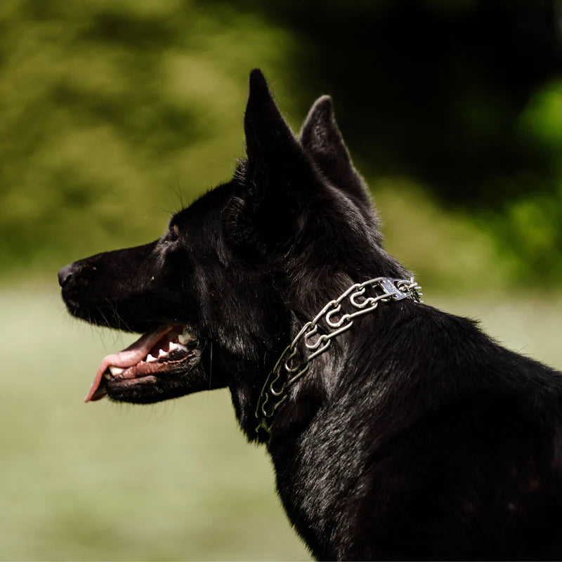 ULTRA-PLUS Training Collar with Center-Plate, Assembly Chain, 2 rings - Stainless Steel (3.0 mm Short Version)