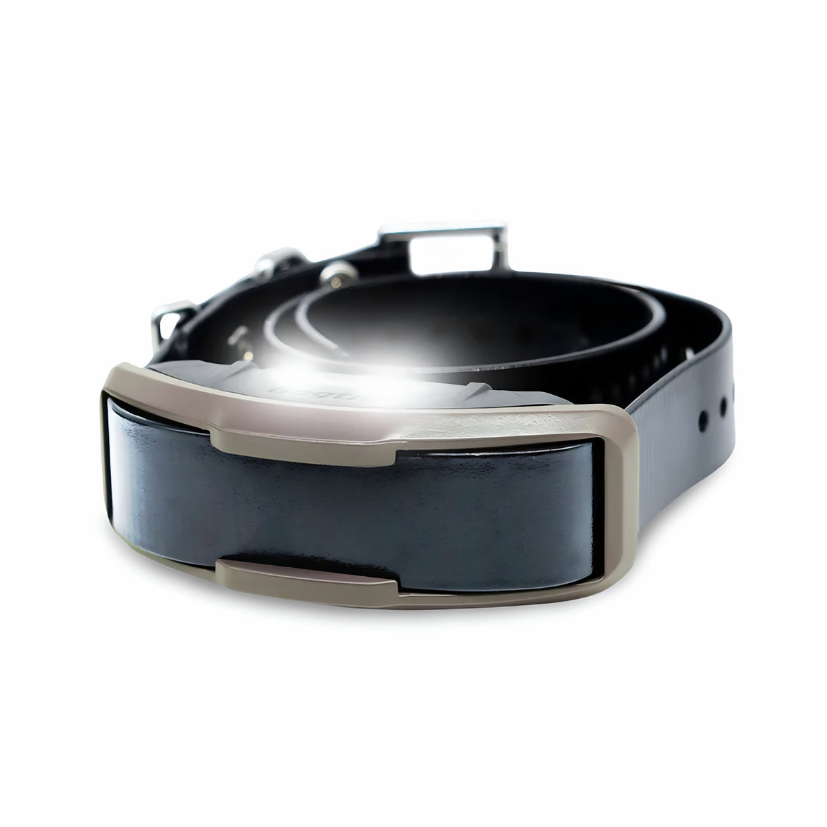 Dogtra 1900X additional receiver