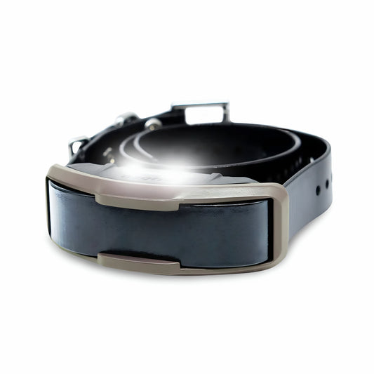 Dogtra 1900X additional receiver