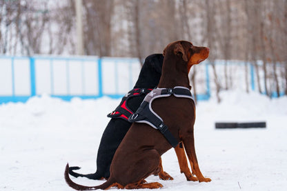 Premium Nylon Dog Harness - Working & Active Dogs