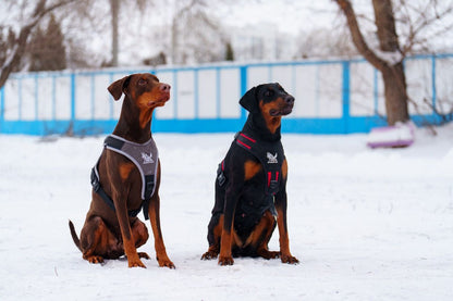 Premium Nylon Dog Harness - Working & Active Dogs