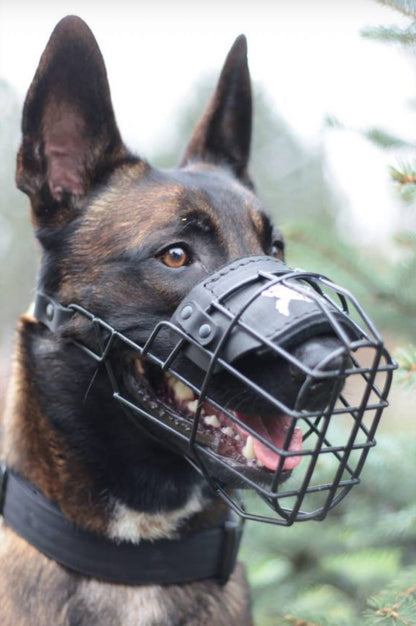 Everyday Tactical Dog Muzzle – Safe, Secure & Comfortable