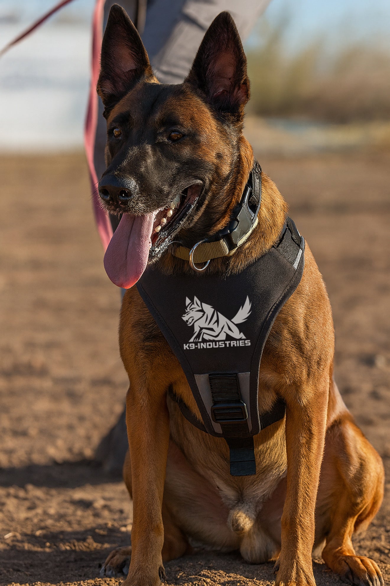 Premium Nylon Dog Harness – Built for Working and Active Dogs