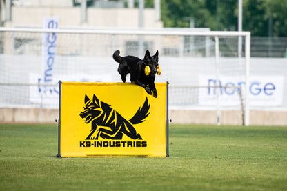 IGP Hurdle – Professional Portable Adjustable Dog Training Jump
