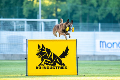 IGP Hurdle – Professional Portable Adjustable Dog Training Jump