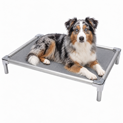 Elevated aluminum orthopedic bed for Australian Shepherds - chew-resistant with cooling airflow