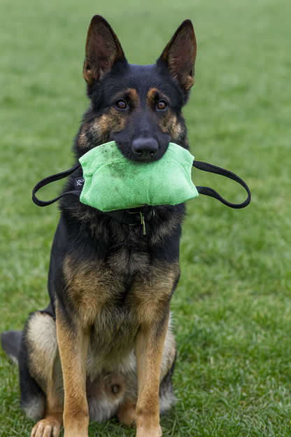 Professional Bite Pillow for Young and Adult Dogs