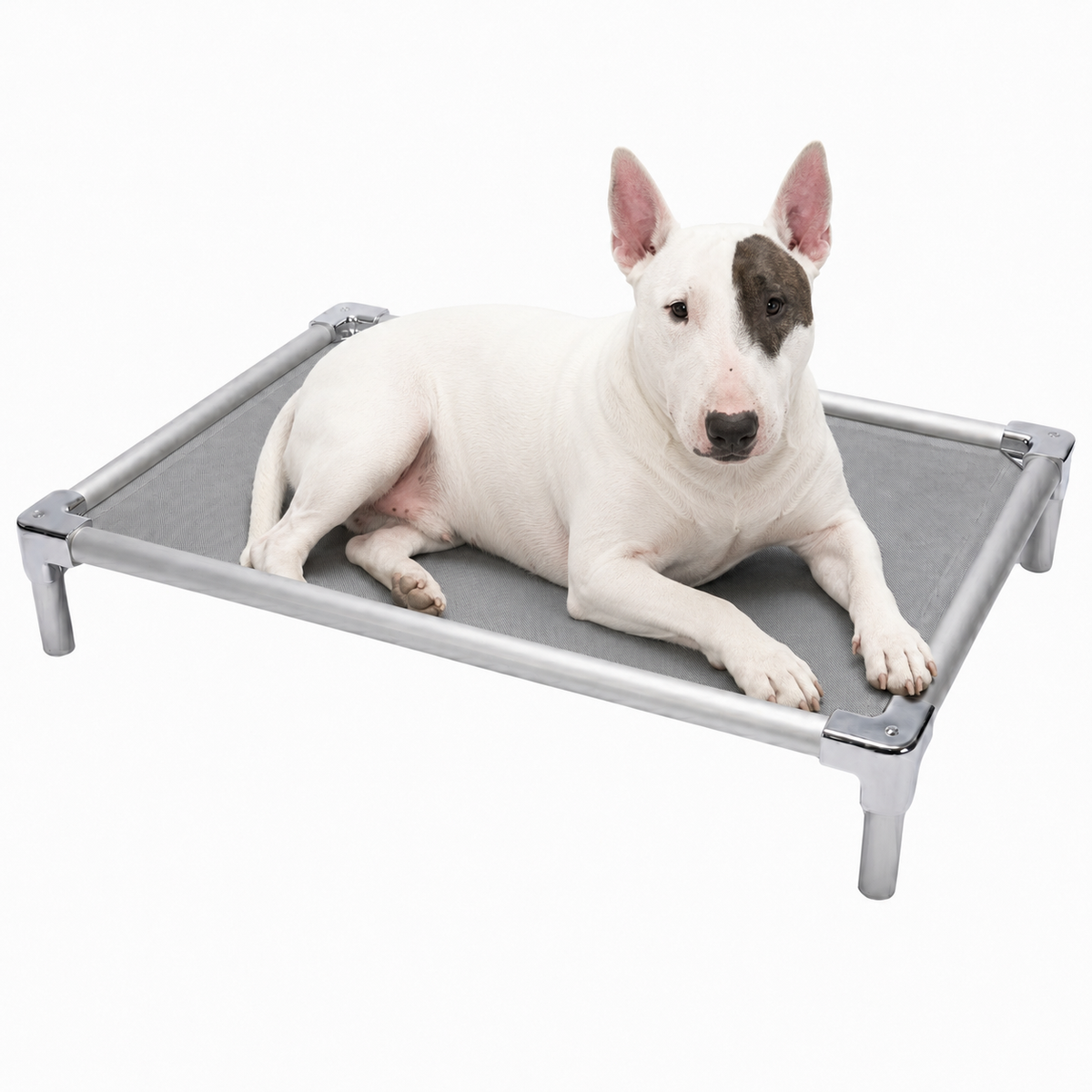 Elevated aluminum orthopedic bed for Bull Terriers - chew-resistant with cooling airflow
