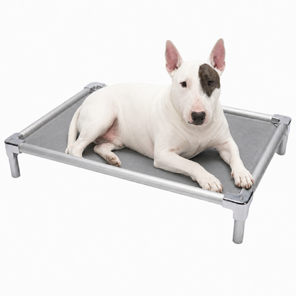 Elevated aluminum orthopedic bed for Bull Terriers - chew-resistant with cooling airflow