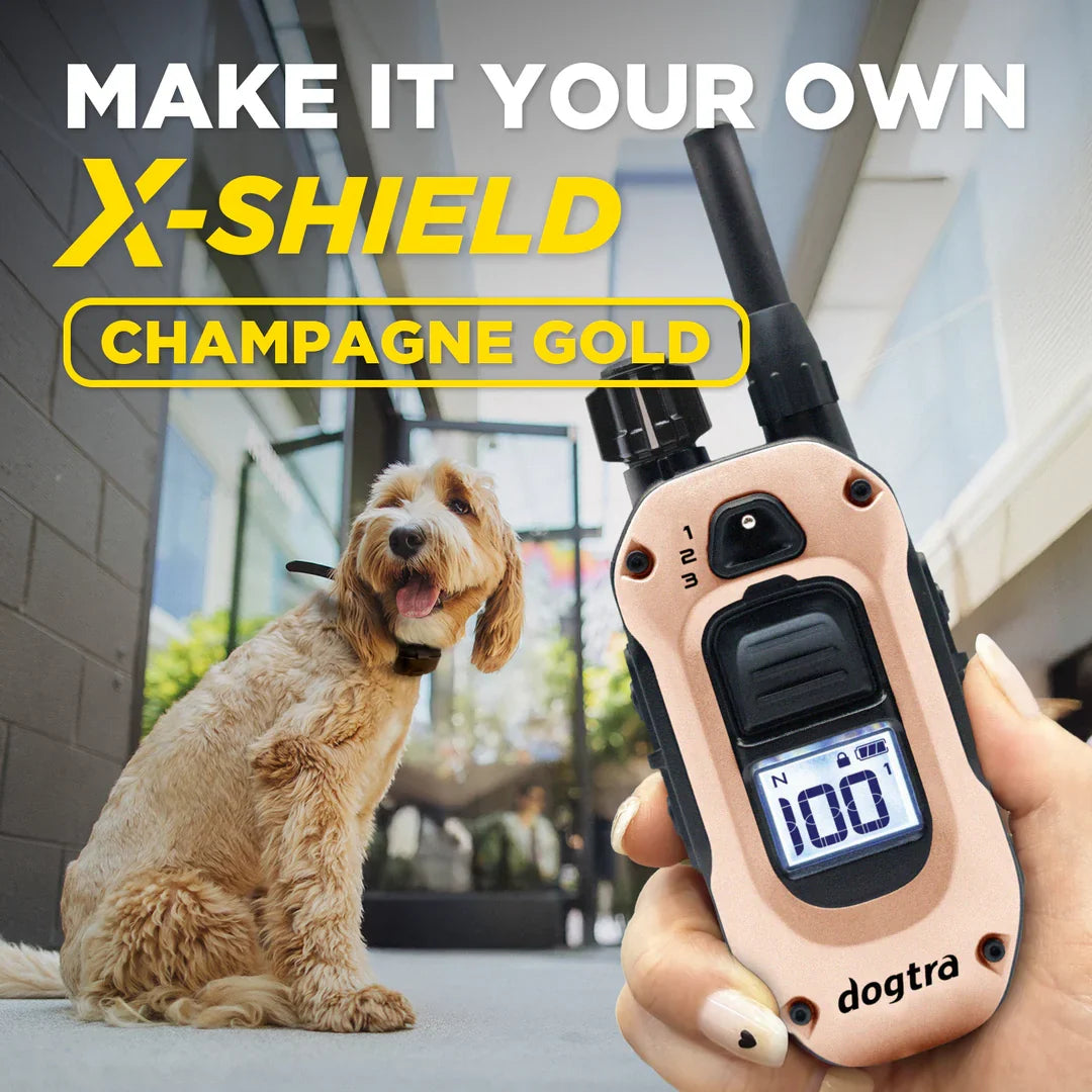 Dogtra X-Shield Champagne Gold