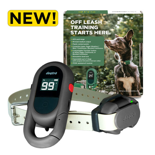 Dogtra CUE GEN2 Grey remote, receiver collar and USB-C cable