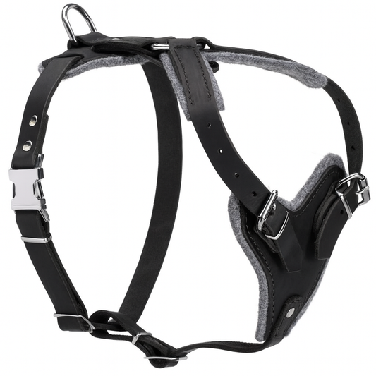 Professional Full-Grain Agitation Leather Dog Harness Built for Heavy-Duty Training